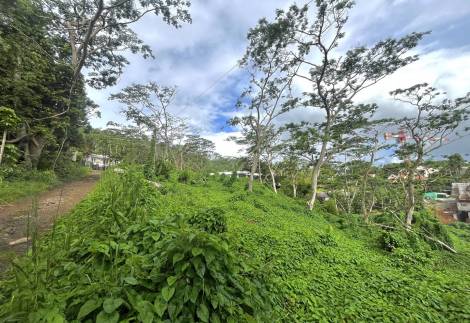 Tranquil residential land in Mont Ory, Moka