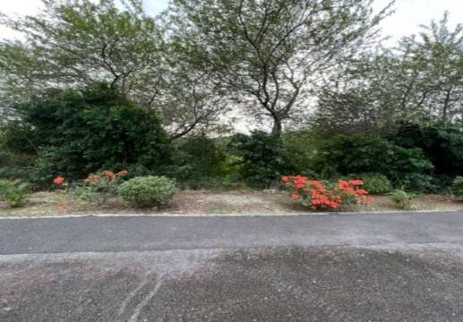 Preserved privacy: residential plot close to Bagatelle and the capital
