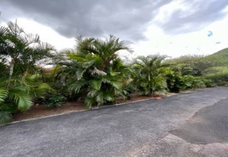 Beautiful residential plot close to Bagatelle and the capital