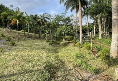 Exquisite plot next to river in Chamarel
