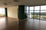Gallery 01