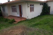 Gallery 01