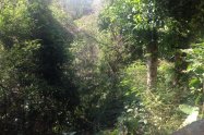 Gallery 01