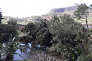 Gallery 01