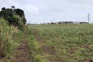 Gallery 01