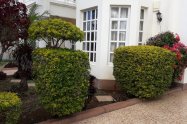 Gallery 01