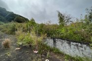 Gallery 01