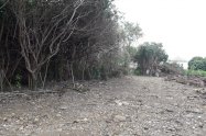 Gallery 01
