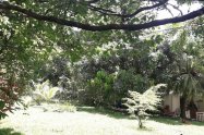Gallery 01