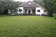 Gallery 01