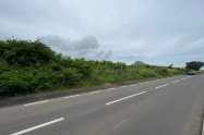 Gallery 01