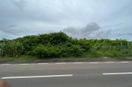 Gallery 01