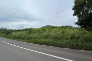 Gallery 01