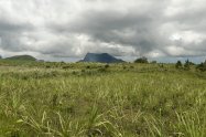 Gallery 01