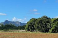 Gallery 01