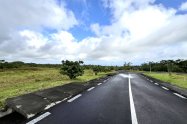 Gallery 01
