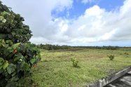 Gallery 01