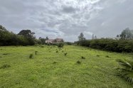 Gallery 01