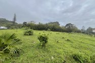Gallery 01