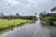 Gallery 01