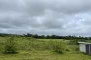 Gallery 01