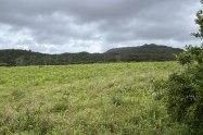 Gallery 01