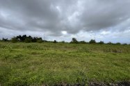 Gallery 01