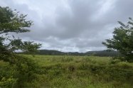 Gallery 01