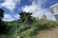 Gallery 01