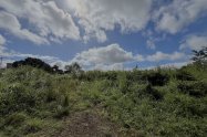 Gallery 01