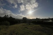 Gallery 01