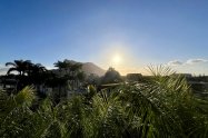 Gallery 01