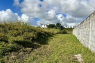 Gallery 01