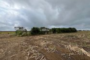 Gallery 01