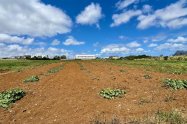 Gallery 01