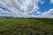 Gallery 01