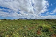 Gallery 01