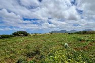 Gallery 01