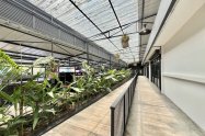 Gallery 01