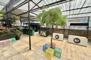 Gallery 01