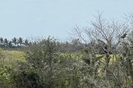 Gallery 01