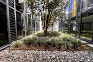 Gallery 01