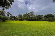 Gallery 01