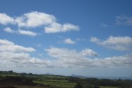 Gallery 01