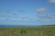 Gallery 01