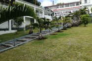 Gallery 01