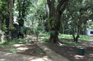 Gallery 01