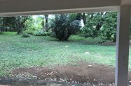 Gallery 01