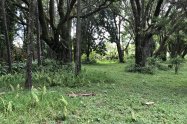 Gallery 01