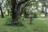 Gallery 01